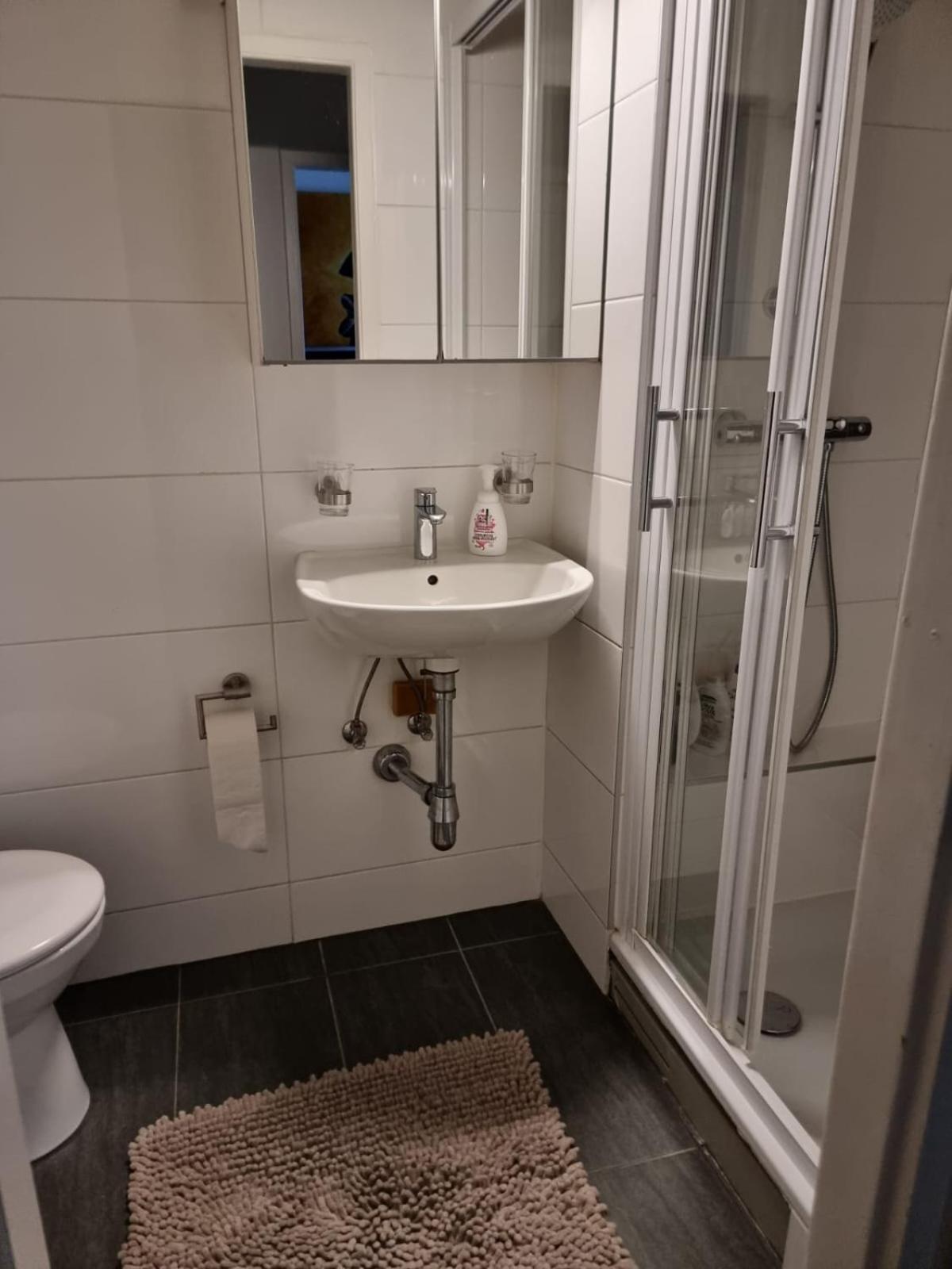 Appartamento Rue De L'indiennerie 3 Ginevra